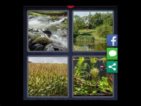 4 images 1 mot niveau 947|4 Images 1 Mot Niveau 947 .